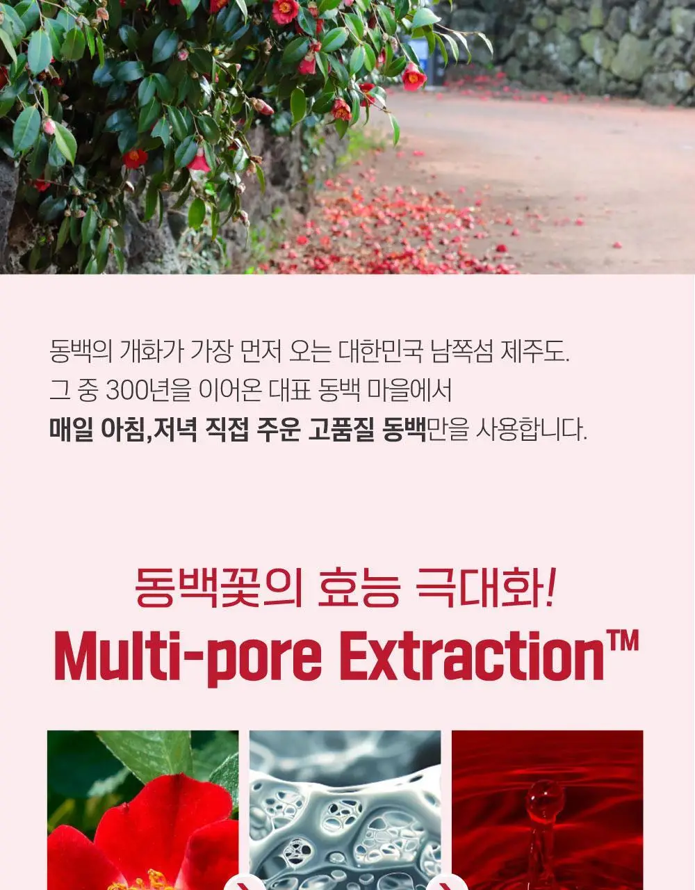 [볼륨탄력] 라운드랩 동백 딥 콜라겐 탄력 앰플 30ml 상세페이지 26